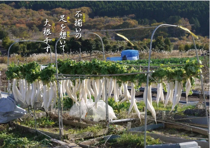 江上日语